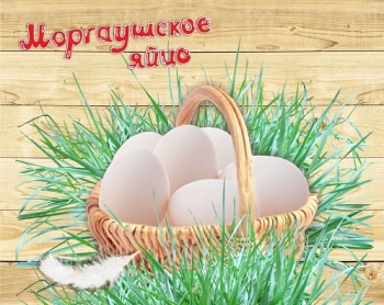 Логотип Птицефабрика Моргаушская