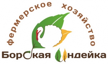 Логотип Логотип Боярская индейка
